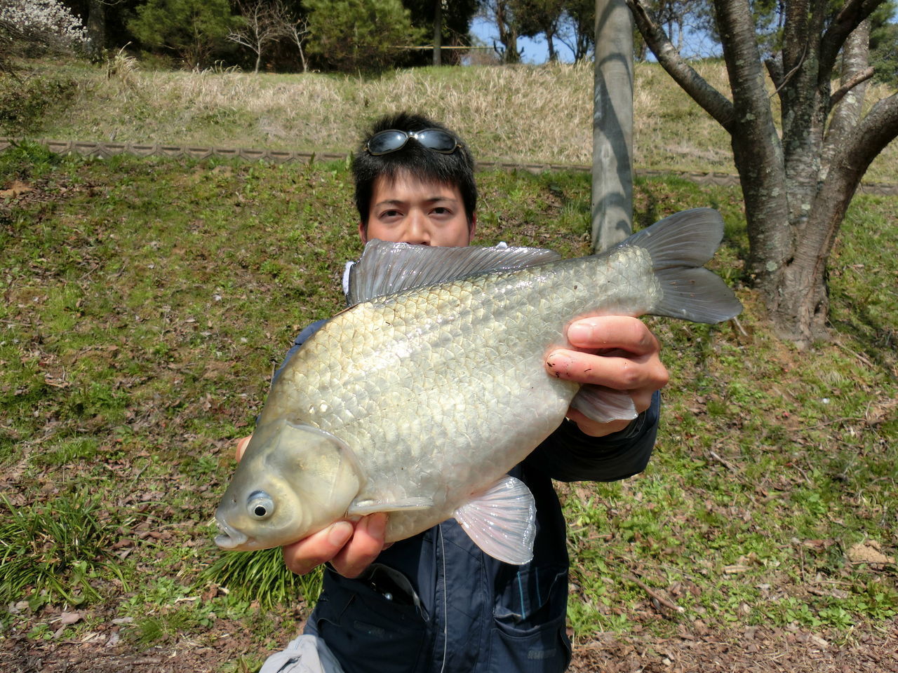 室生ダム 乗っ込み間近 関西へらぶなクラブlegend